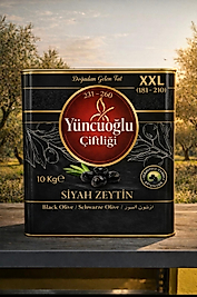10 KG SİYAH ZEYTİN (201-230)