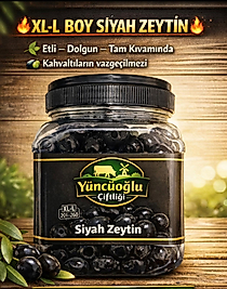SİYAH ZEYTİN TAŞ BASKI 900 GR(201-260)