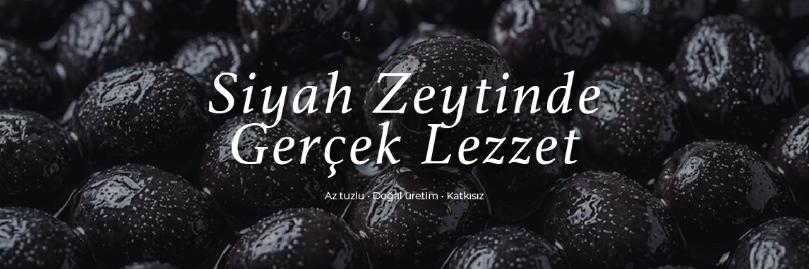 SİYAH ZEYTİN