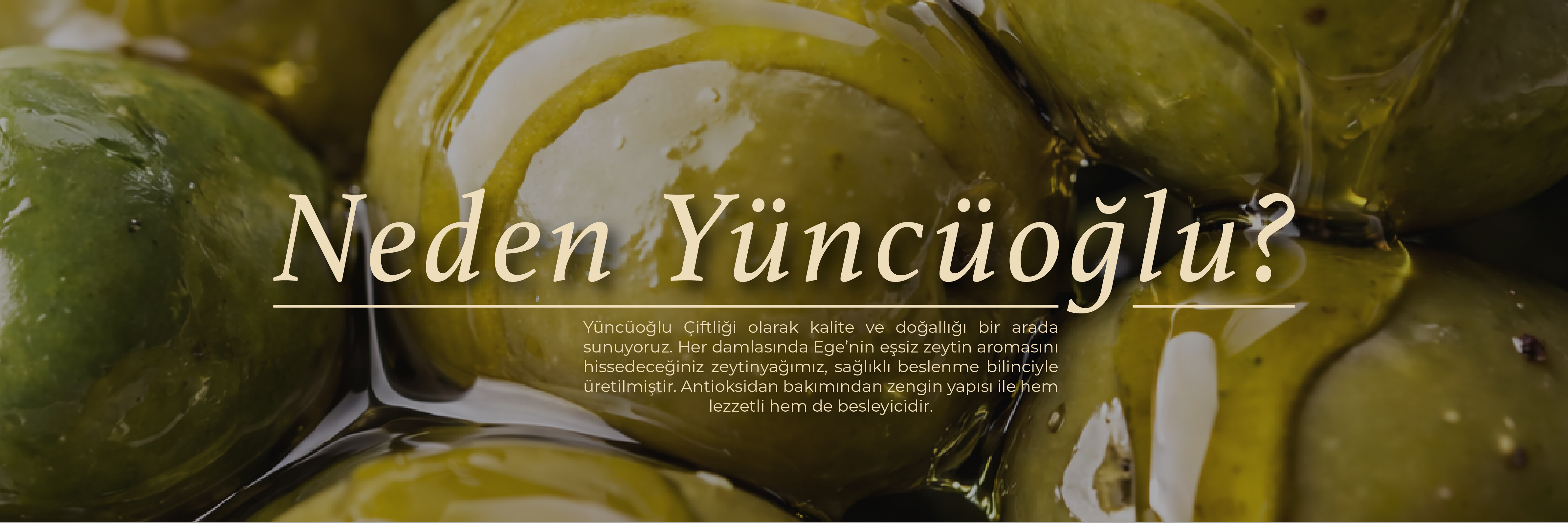 Anasayfa Slider