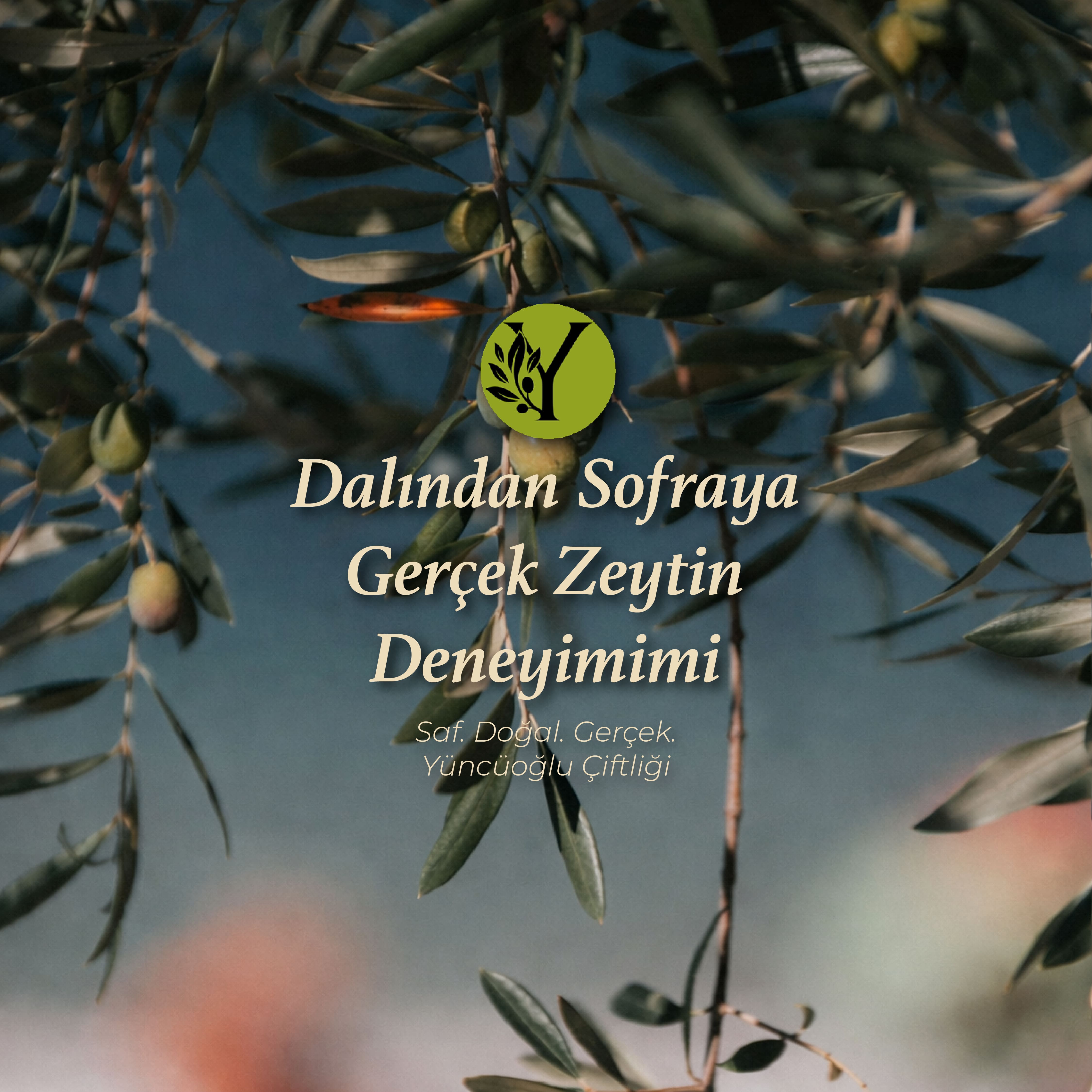 YÜNCÜOĞLU