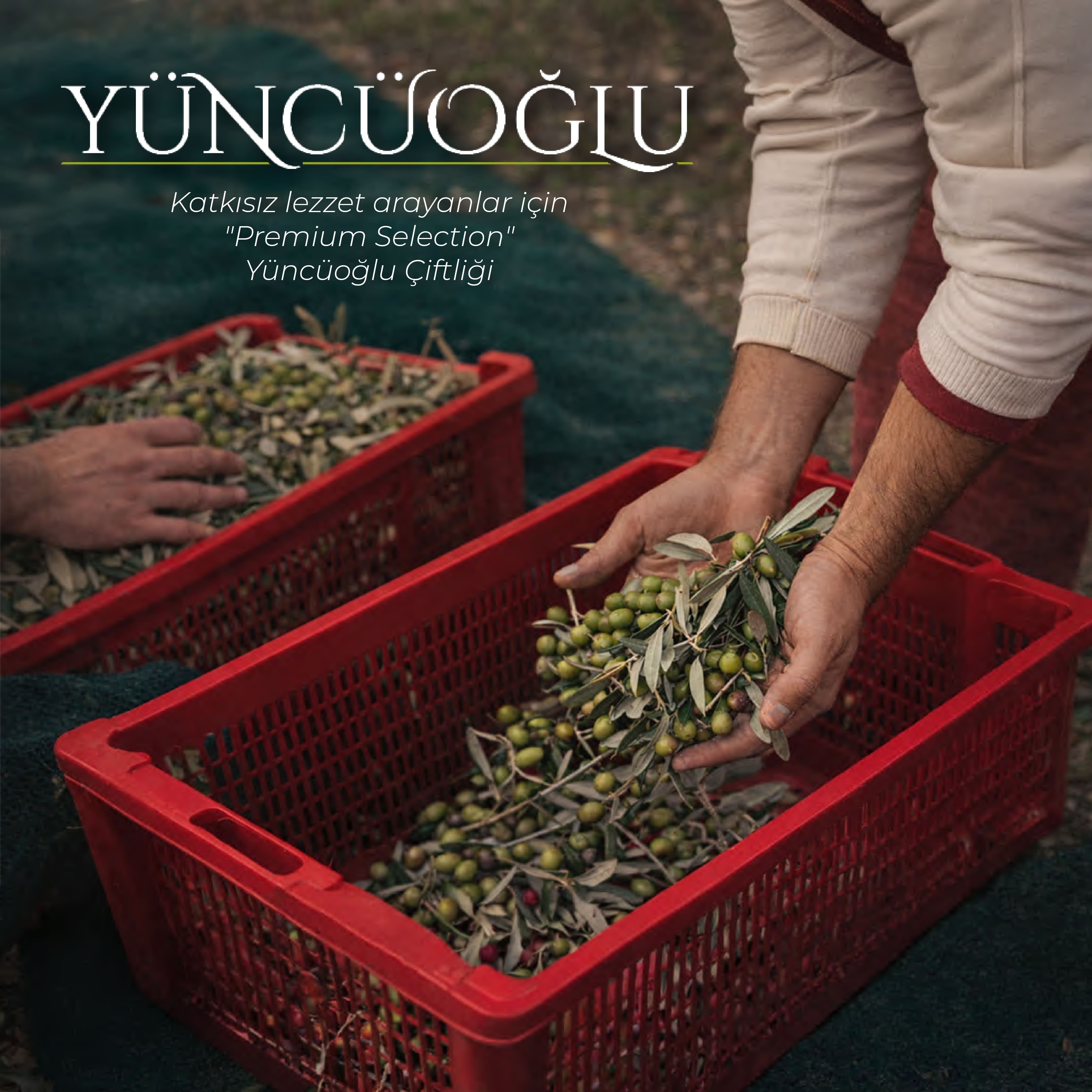 YÜNCÜOĞLU