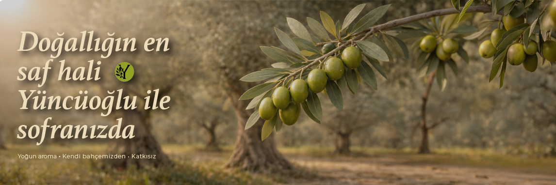 Yeşil Zeytin